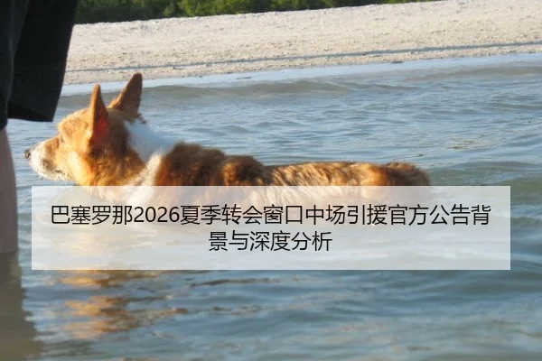 巴塞罗那2026夏季转会窗口中场引援官方公告背景与深度分析